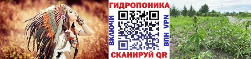 где продают   Миасс  Бошки Шишки SATIVA & INDICA 